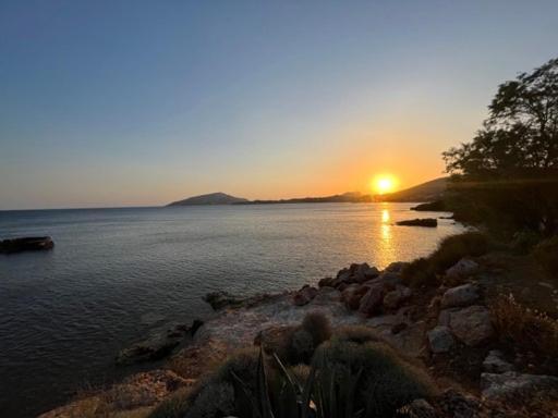 Sounio Studio Sounion Bagian luar foto